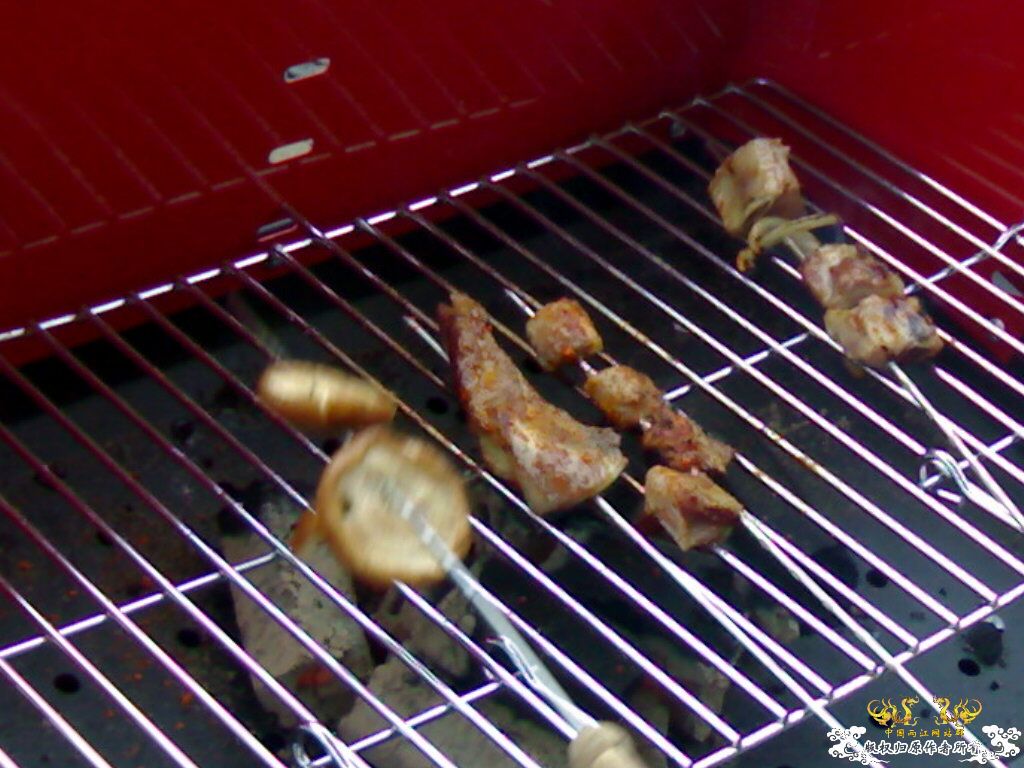 认鱼！（娱乐版）