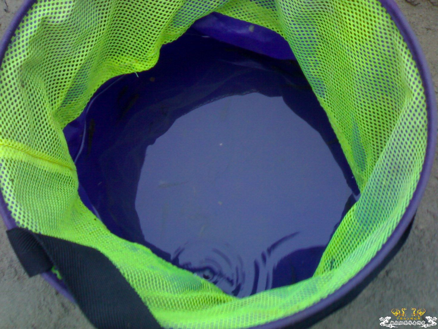 认鱼！（娱乐版）