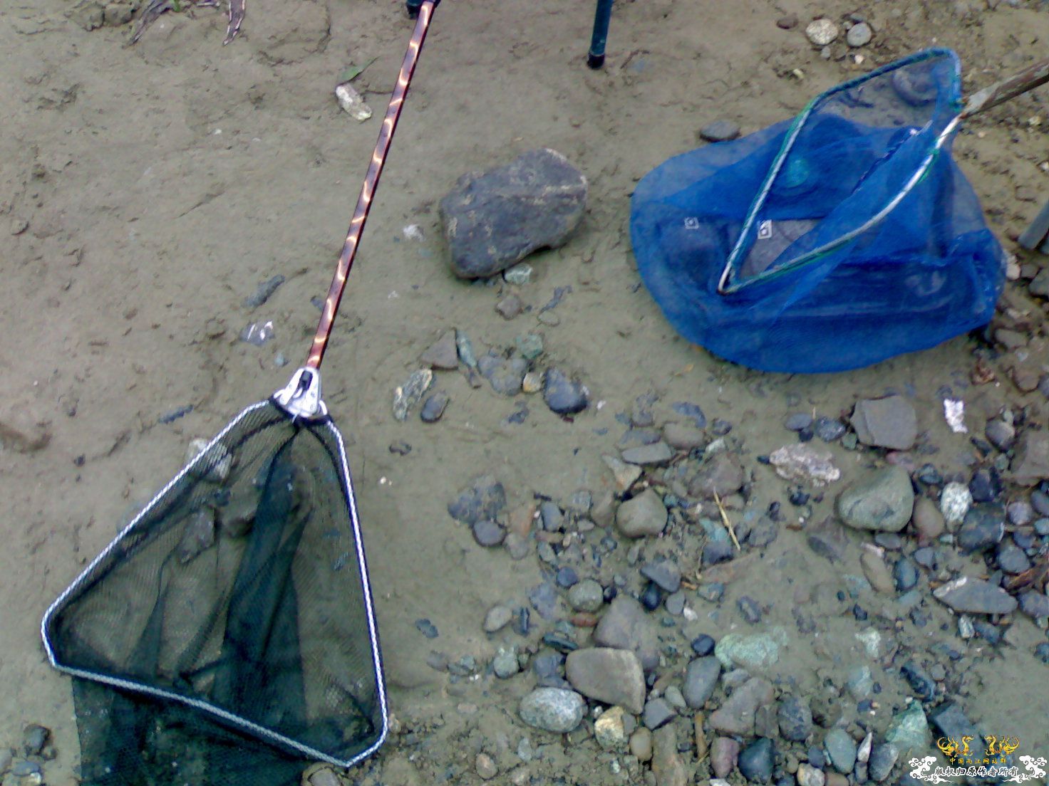 认鱼！（娱乐版）