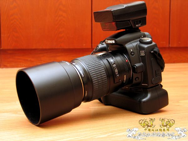 金丝鱼的清晰切片 [6P]