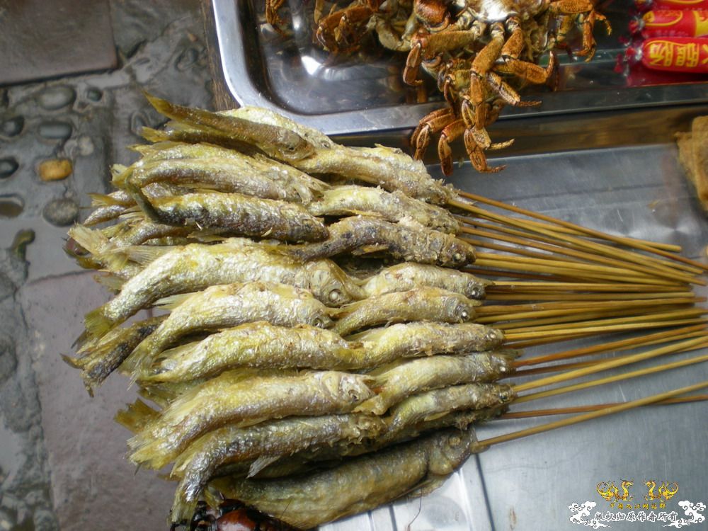 周末游走在城市边缘，看鱼&野采。