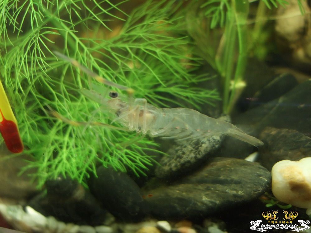 周末游走在城市边缘，看鱼&野采。