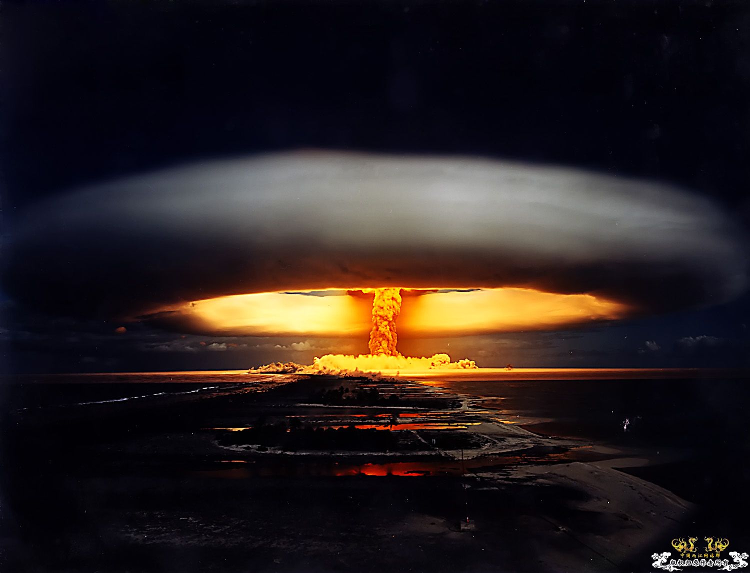 英记者偷拍日本血腥“杀海豚节” 血染海湾(图)