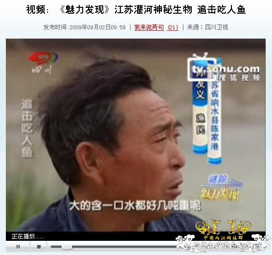 [灌水][转帖]雷人的江苏灌河吃人鱼报道，无语!