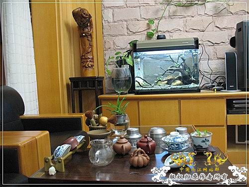 喝茶*赏鱼