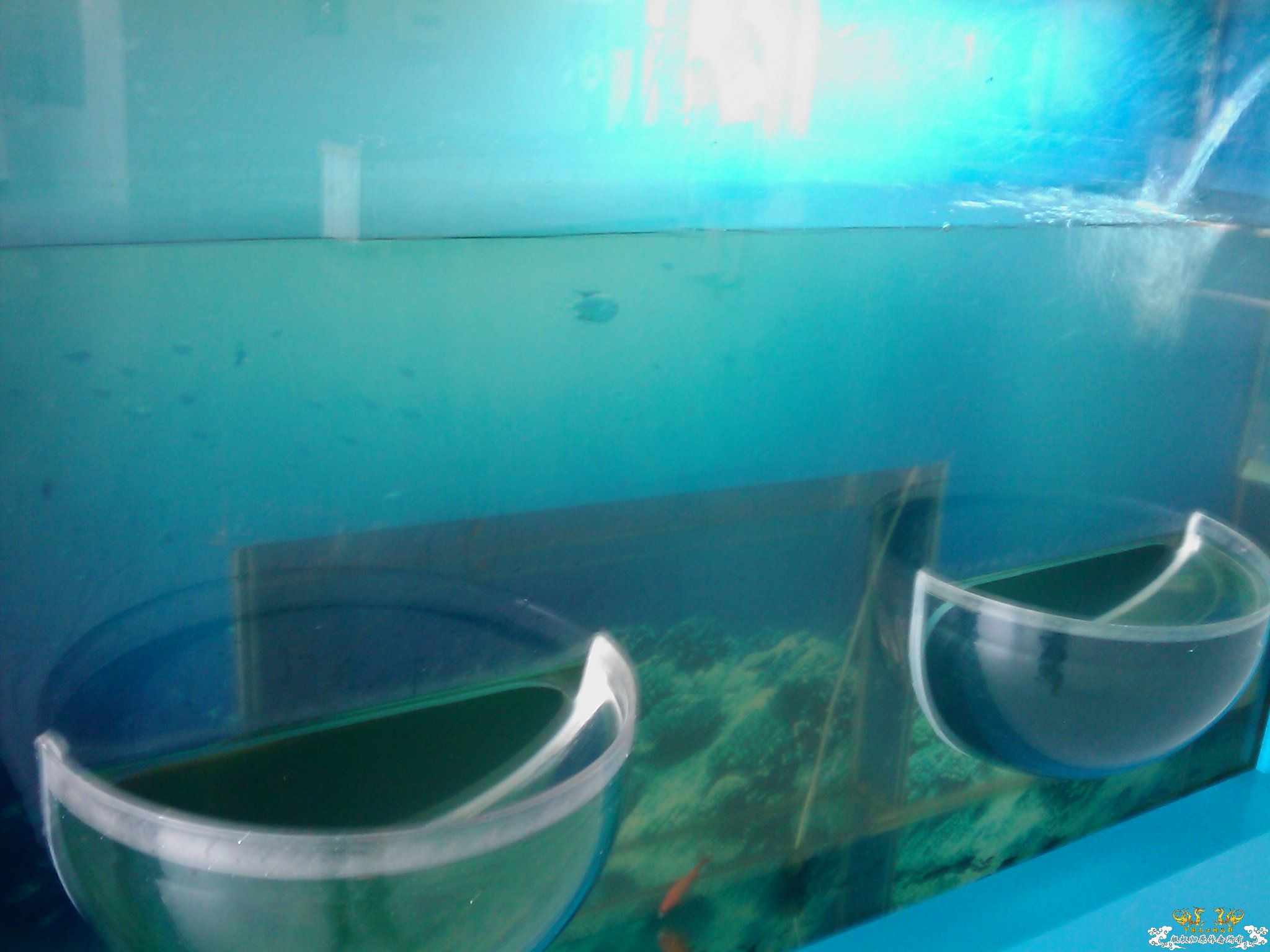 考考大家这是什么原理？