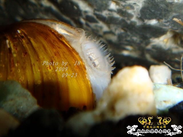 [原创]再拍半水缸