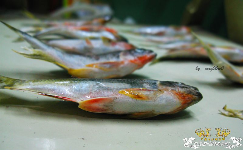 发几张图,大家要淡定