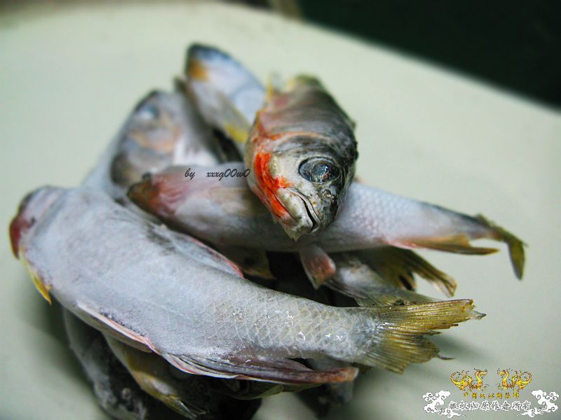 发几张图,大家要淡定