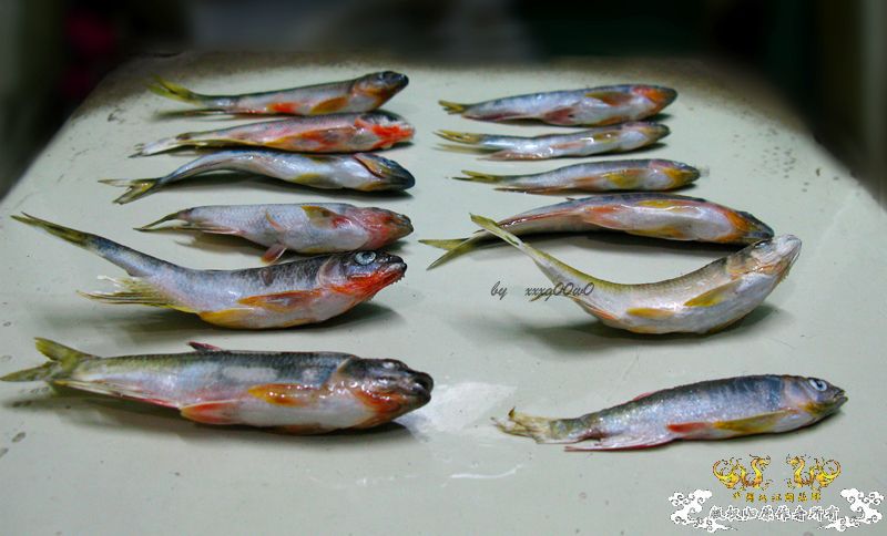 发几张图,大家要淡定