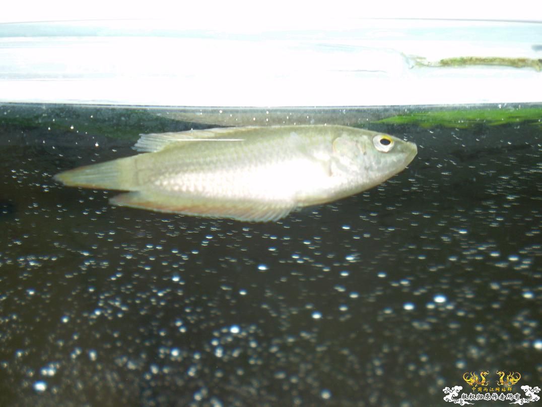 大家帮忙看看斗怎么了