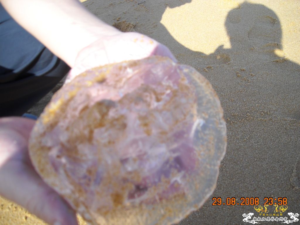 威海之海滨