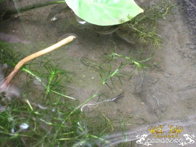 认草以及发些以前的破照片