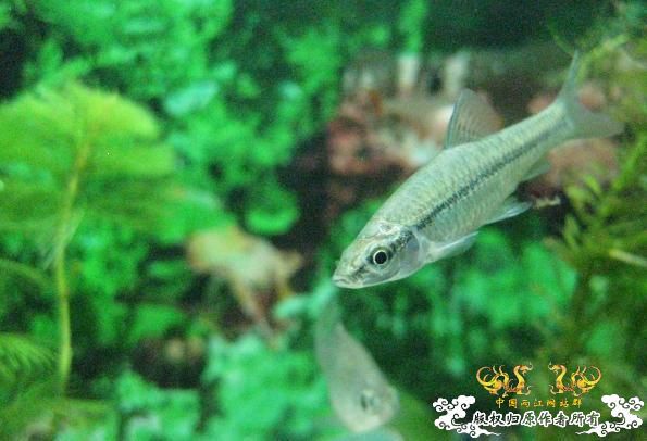 认草以及发些以前的破照片