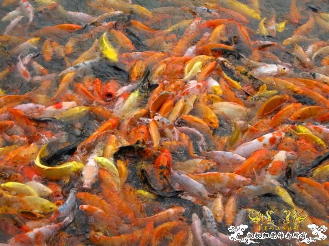 认草以及发些以前的破照片