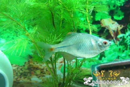 认草以及发些以前的破照片