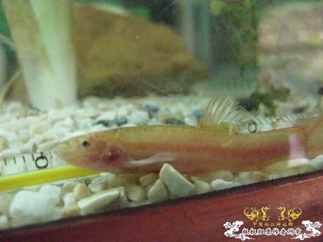 认草以及发些以前的破照片