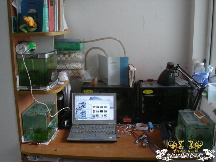 深度揭示当代大学生之腐败生活——寝室篇