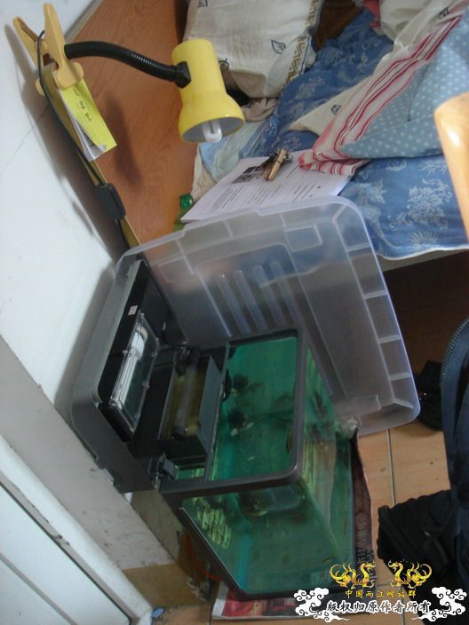 深度揭示当代大学生之腐败生活——寝室篇