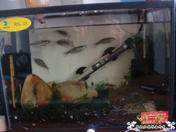 深度揭示当代大学生之腐败生活——寝室篇