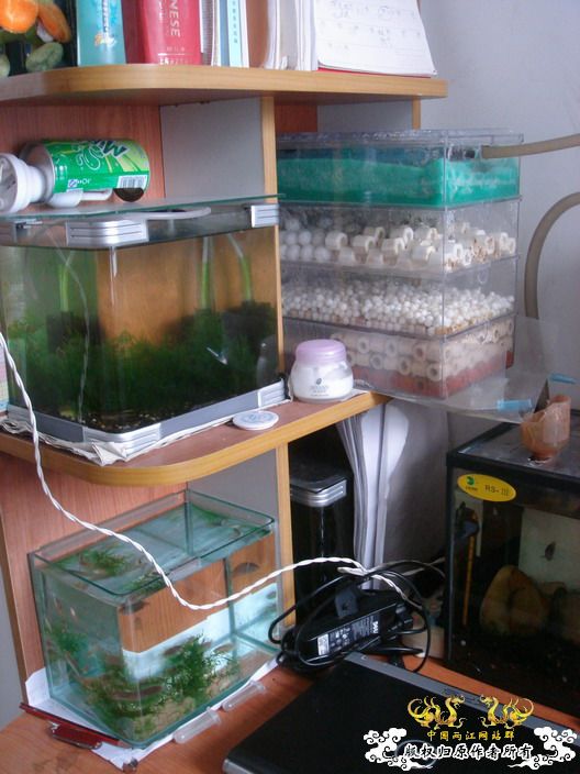 深度揭示当代大学生之腐败生活——寝室篇