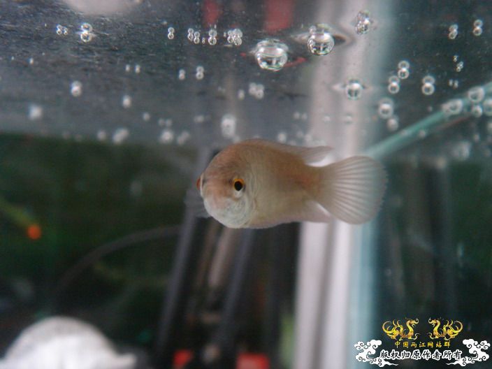 深度揭示当代大学生之腐败生活——寝室篇