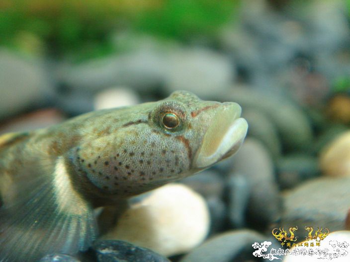 深度揭示当代大学生之腐败生活——寝室篇