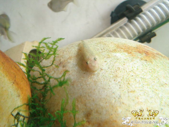 深度揭示当代大学生之腐败生活——寝室篇