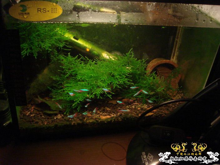 深度揭示当代大学生之腐败生活——寝室篇