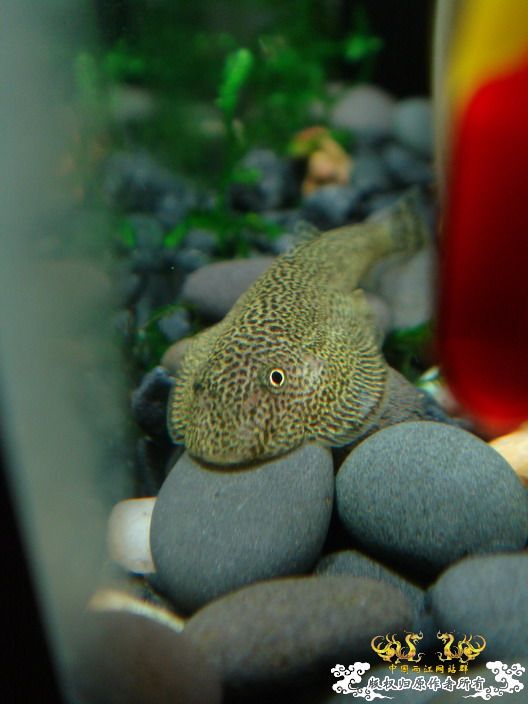 深度揭示当代大学生之腐败生活——寝室篇