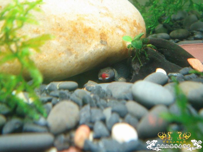 深度揭示当代大学生之腐败生活——寝室篇