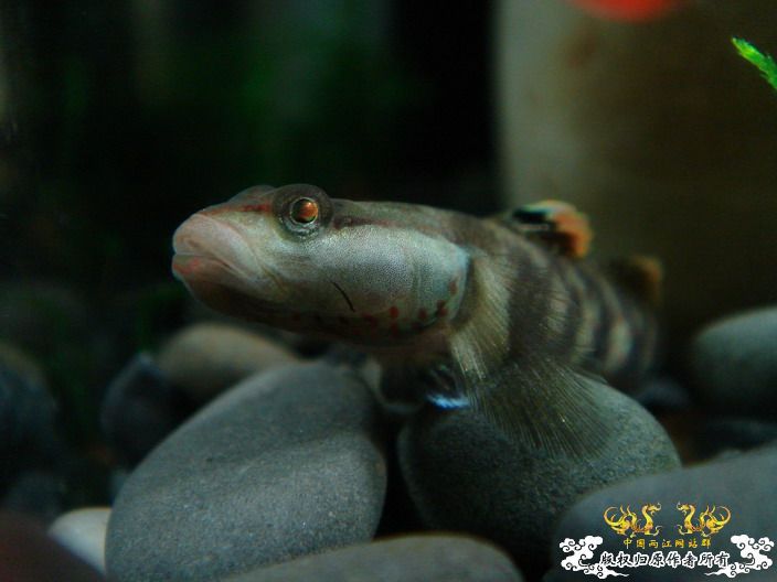 深度揭示当代大学生之腐败生活——寝室篇