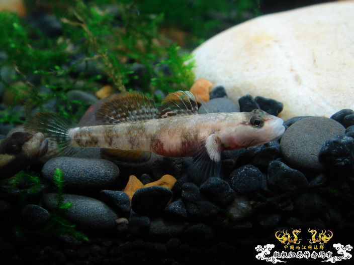 深度揭示当代大学生之腐败生活——寝室篇