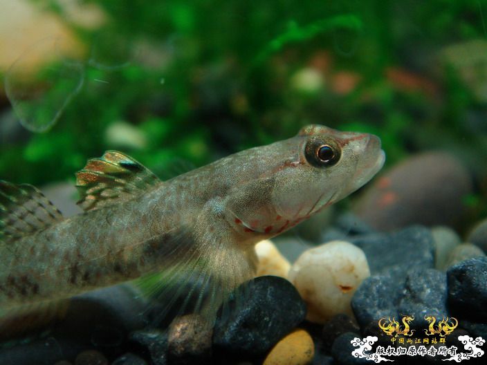 深度揭示当代大学生之腐败生活——寝室篇