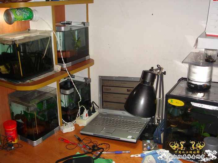 深度揭示当代大学生之腐败生活——寝室篇