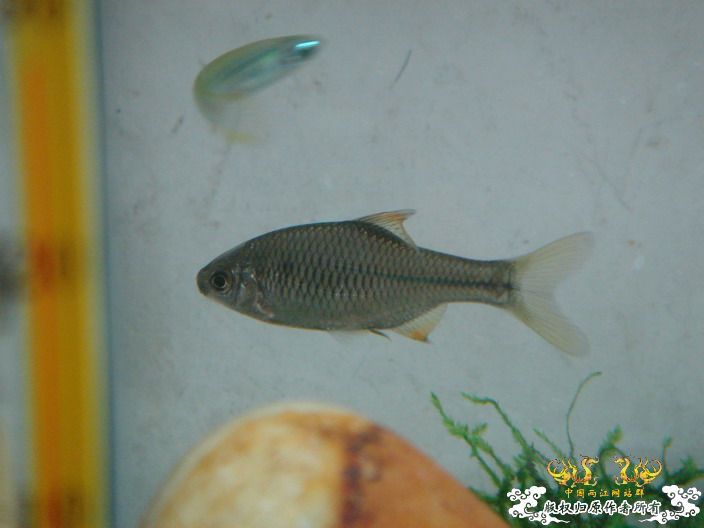 深度揭示当代大学生之腐败生活——寝室篇