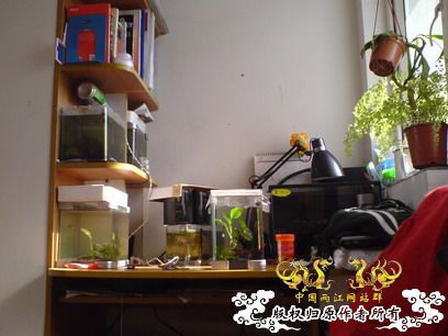 深度揭示当代大学生之腐败生活——寝室篇