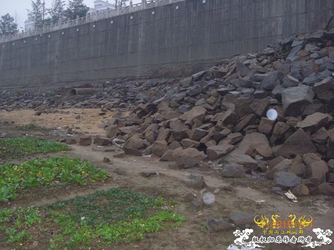 赣江。。防洪堤坝