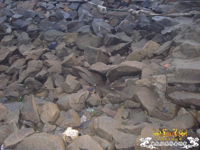 赣江。。防洪堤坝