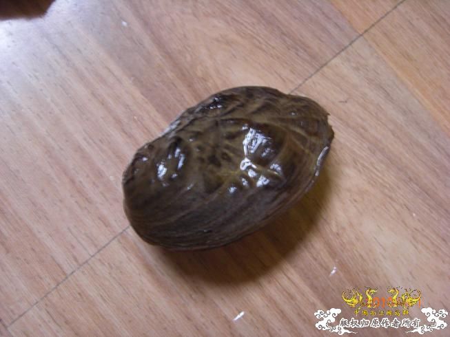 赣江。。防洪堤坝