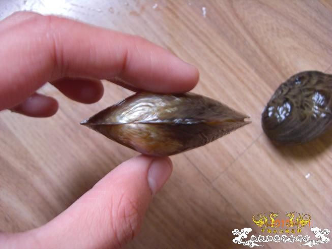 赣江。。防洪堤坝