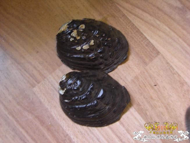 赣江。。防洪堤坝