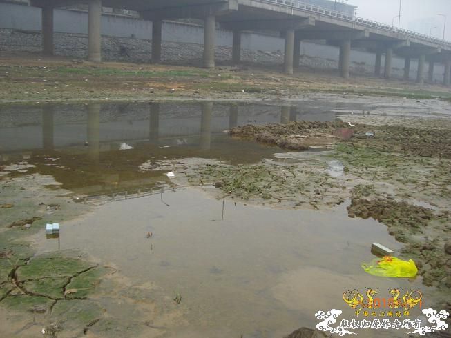 赣江。。防洪堤坝