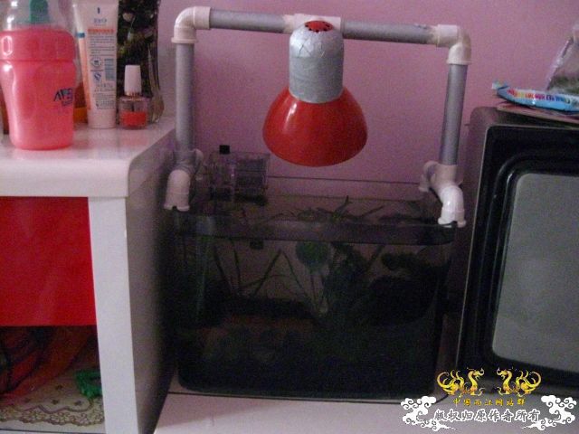 下载] 不要在折腾了