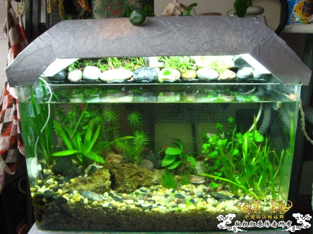 下载] 不要在折腾了