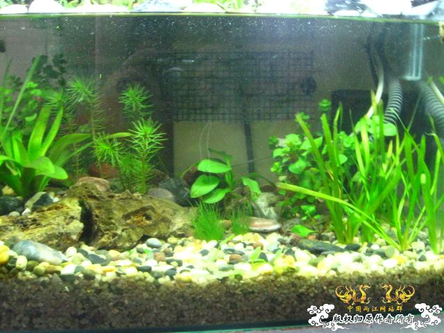 下载] 不要在折腾了