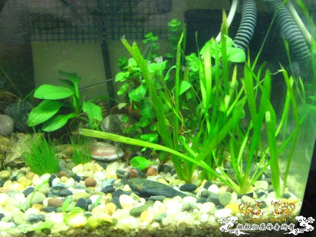 下载] 不要在折腾了