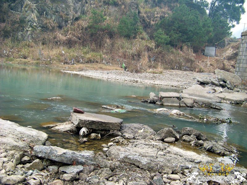 2010年1月1日新年第一采