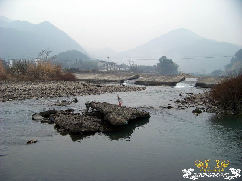 2010年1月1日新年第一采