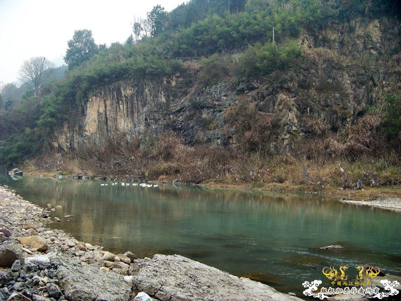 2010年1月1日新年第一采